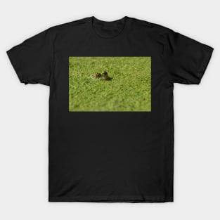 Duck Weed Eyes T-Shirt